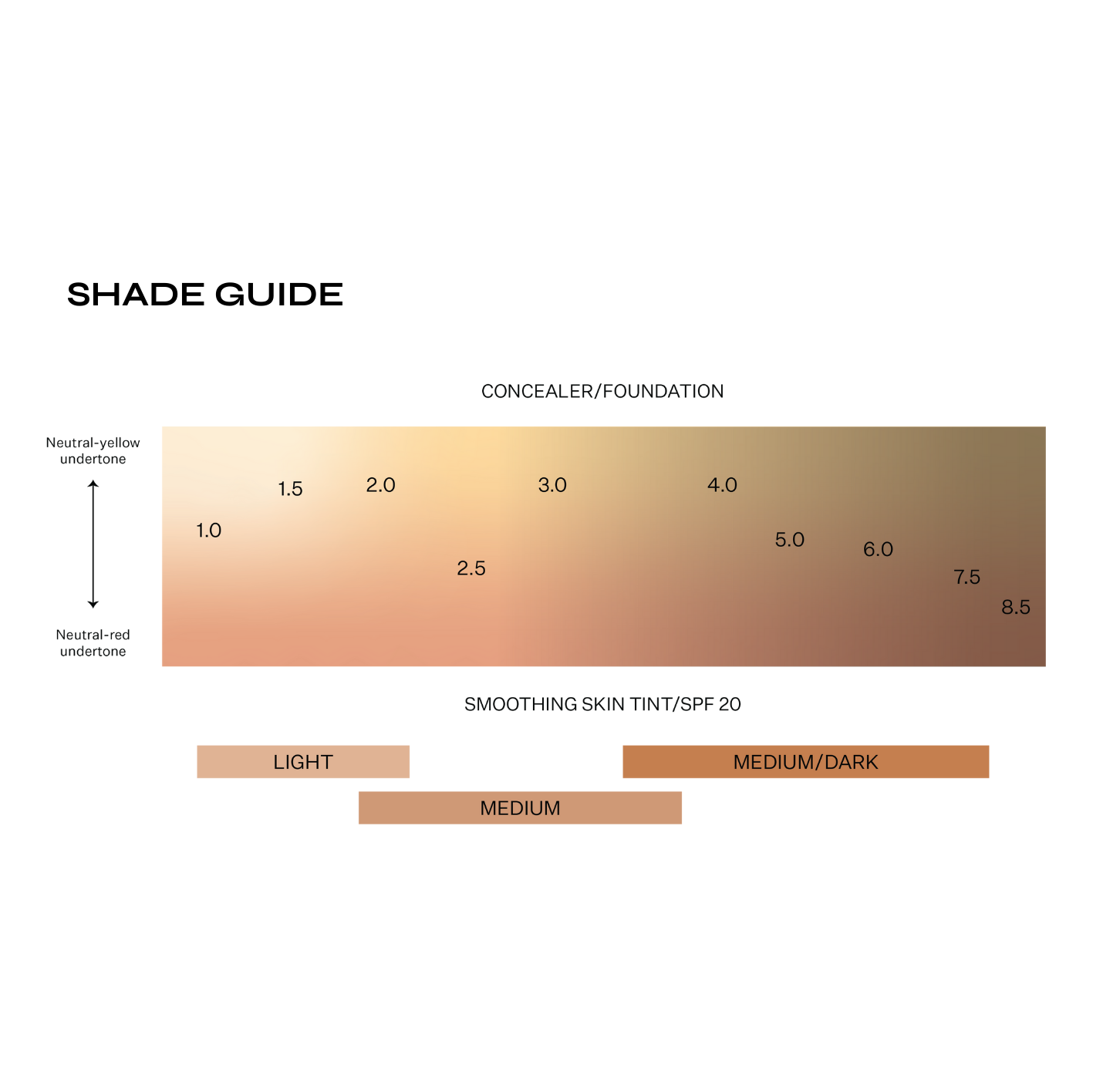 Concealer/Foundation & Smoothing Skin Tint shade guide